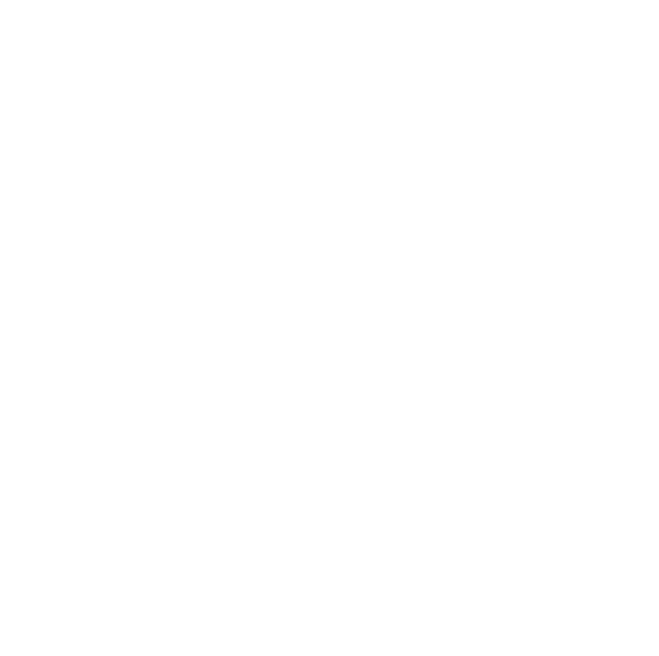 Southern Sword